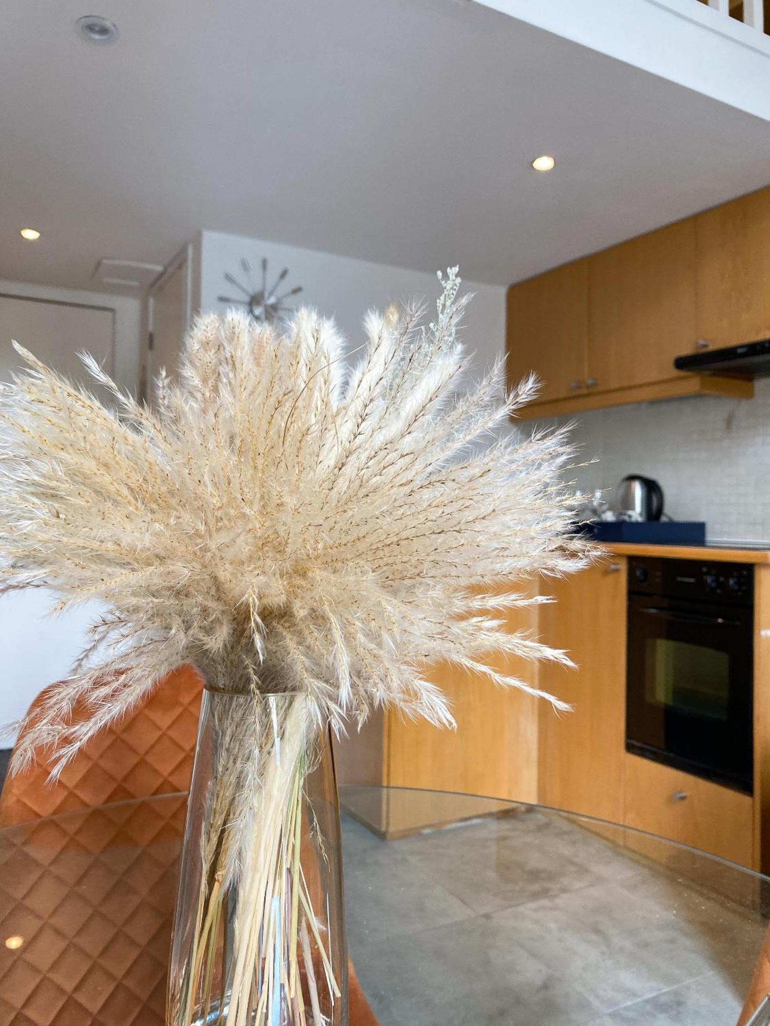 Modern Studios Close To Hyde Park London Room photo