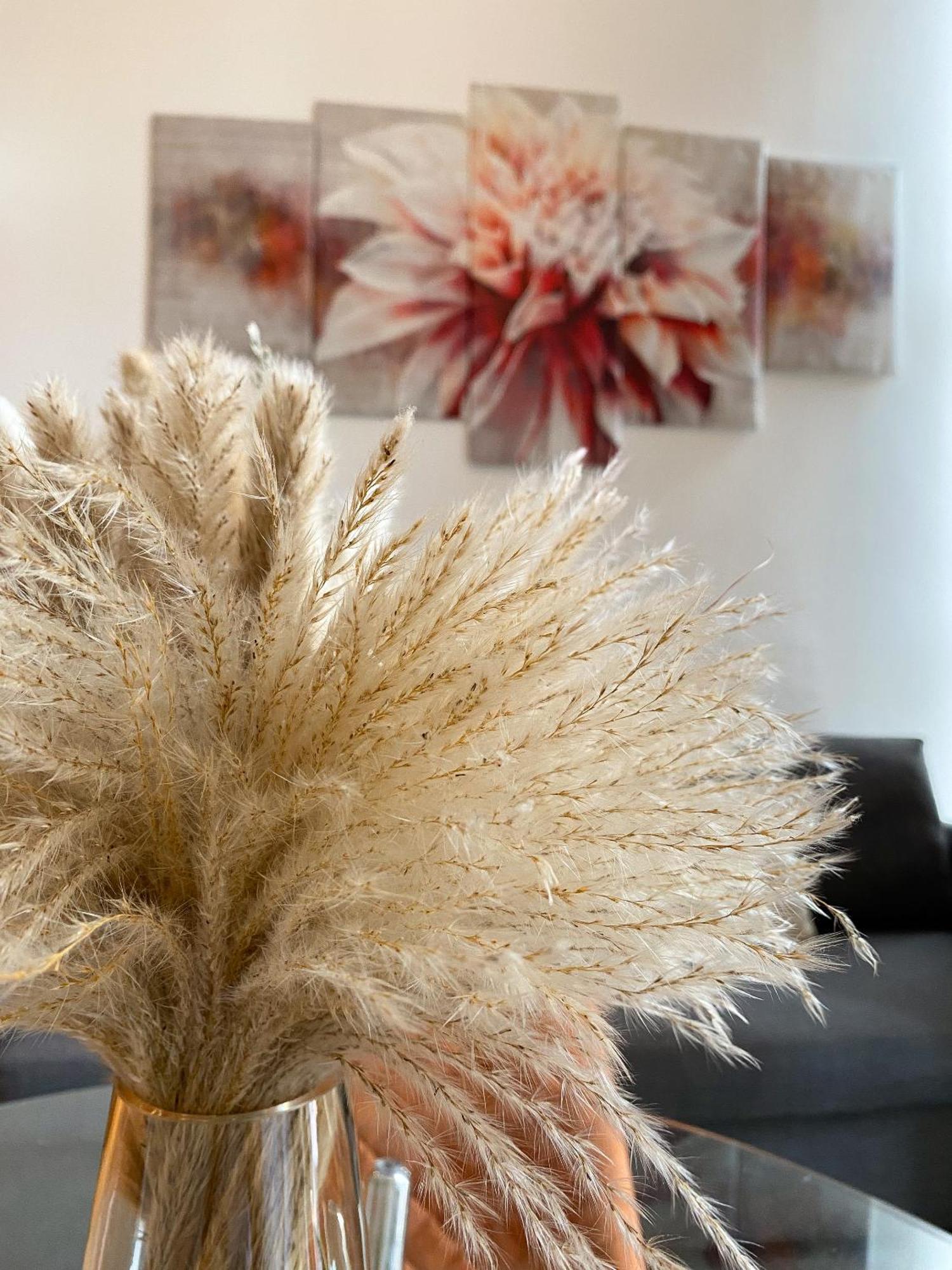 Modern Studios Close To Hyde Park London Room photo